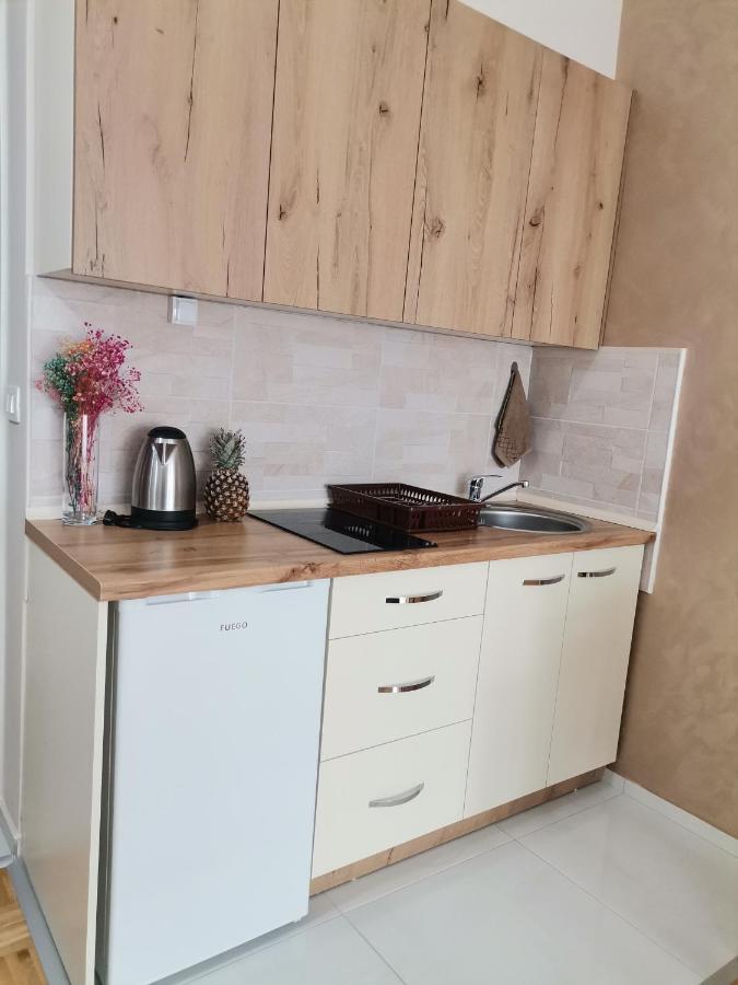 Jana Apartment Οχρίδα Εξωτερικό φωτογραφία